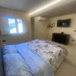 Little Loft On Modena Roofs